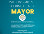 Mayor Vacancy