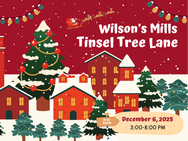 Illustrated Christmas scene with houses and Christmas trees