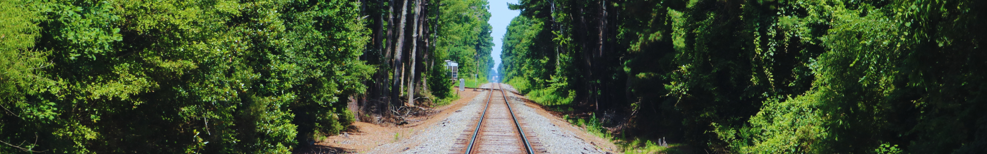 Feature Image
